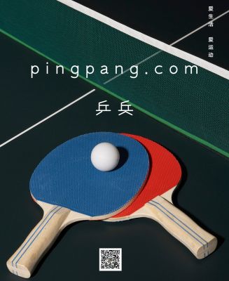 pingpang.com