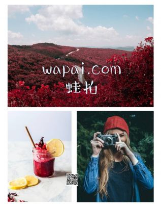wapai.com
